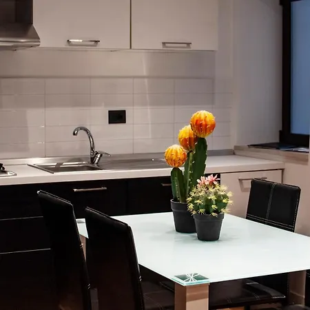 Apartment Ottomood House